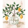 Malowanie po numerach - CYTRYNY W WAZONIE 5 (HALEY BUSH)