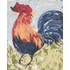 Malowanie po numerach - KOGUT I (HALEY BUSH)