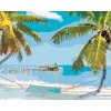 Malowanie po numerach - PLAŻA Z HUŚTAWKĄ MIĘDZY PALMAMI (TED DAVIS)