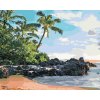 Malowanie po numerach - WYBRZEŻE, PALMY I ZACHÓD SŁOŃCA (TED DAVIS)