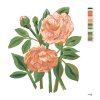 Malowanie po numerach - RÓŻE (ALEXANDRIA GILBERT)