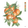 Malowanie po numerach - POMARAŃCZE NA GAŁĘZI (ALEXANDRIA GILBERT)