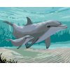 Malowanie po numerach - DELFINY(ROBERT JOHNSON)