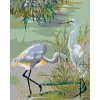 Malowanie po numerach - DWIE CZAPLE SIWE NAD JEZIOREM