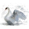 Malowanie po numerach - BIAŁY ŁABĘDŹ