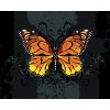 Malowanie po numerach - POMARAŃCZOWY MOTYL NA CZARNYM TLE