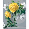 Malowanie po numerach - MARTWA NATURA - BIAŁE I ŻÓŁTE RÓŻE W SZKLANYM WAZONIE (PIETER WAGEMANS)