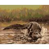 Malowanie po numerach - ALIGATOR WBIEGA DO WODY (D. RUSTY RUST)