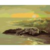 Malowanie po numerach - ALIGATOR NAD WODĄ (D. RUSTY RUST)