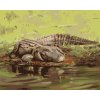 Malowanie po numerach - ALIGATOR LEŻĄCY NAD WODĄ II (D. RUSTY RUST)