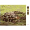 Malowanie po numerach - ALIGATOR LEŻĄCY NAD WODĄ II (D. RUSTY RUST)