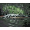 Malowanie po numerach - ALIGATOR LEŻĄCY NAD WODĄ V (D. RUSTY RUST)