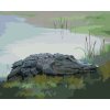Malowanie po numerach - ALIGATOR LEŻĄCY NAD WODĄ VI (D. RUSTY RUST)