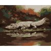 Malowanie po numerach - ALIGATOR LEŻĄCY NAD WODĄ VII (D. RUSTY RUST)