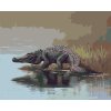 Malowanie po numerach - ALIGATOR WCHODZĄCY DO WODY II (D. RUSTY RUST)