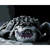 Malowanie po numerach - ALIGATOR W CIEMNOŚCI (D. RUSTY RUST)