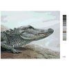 Malowanie po numerach - ALIGATOR NAD WODĄ (D. RUSTY RUST)