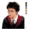 Malowanie po numerach - PORTRET HARRY'EGO POTTERA