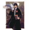 Malowanie po numerach - HARRY POTTER I HEDWIGA W HOGWARCIE
