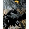 Malowanie po numerach - CZAJĄCY SIĘ BATMAN