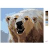 Malowanie po numerach - NIEDŹWIEDŹ POLARNY Z BLISKA (D. RUSTY RUST)