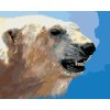 Malowanie po numerach - PORTRET NIEDŹWIEDZIA POLARNEGO (D. RUSTY RUST)