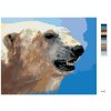 Malowanie po numerach - PORTRET NIEDŹWIEDZIA POLARNEGO (D. RUSTY RUST)