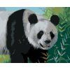 Malowanie po numerach - PANDA (D. RUSTY RUST) (Wariant płótno bez ramy, Rozmiar 40x50 cm)