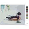 Malowanie po numerach - KACZKA NA WODZIE (D. RUSTY RUST)