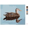 Malowanie po numerach - KACZKA PŁYWAJĄCA PO WODZIE (D. RUSTY RUST)