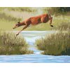 Malowanie po numerach - SARNA SKACZĄCA PRZEZ WODĘ (D. RUSTY RUST)