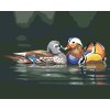 Malowanie po numerach - ZAKOCHANE KACZKI NA WODZIE (D. RUSTY RUST)