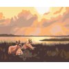 Malowanie po numerach - SARNY NAD JEZIOREM WE WSCHODZIE SŁOŃCA (D. RUSTY RUST)