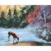 Malowanie po numerach - JELEŃ NAD ZAMARZNIĘTYM STRUMIENIEM (D. RUSTY RUST)