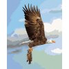 Malowanie po numerach - ORZEŁ ŁAPIĄCY RYBĘ (D. RUSTY RUST)