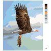 Malowanie po numerach - ORZEŁ ŁAPIĄCY RYBĘ (D. RUSTY RUST) (Wariant płótno bez ramy, Rozmiar 40x50 cm)
