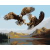 Malowanie po numerach - ORZEŁ - ZBLIŻENIE (D. RUSTY RUST)