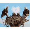 Malowanie po numerach - ORLE GNIAZDO (D. RUSTY RUST)