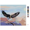 Malowanie po numerach - LĄDOWANIE ORŁA (D. RUSTY RUST)