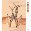 Malowanie po numerach - ANTYLOPA (D. RUSTY RUST)