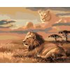 Malowanie po numerach - LEW I ILUZJA LWICY (D. RUSTY RUST)
