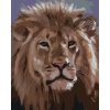 Malowanie po numerach - GŁOWA LWA (D. RUSTY RUST)