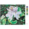 Malowanie po numerach - LILIA WODNA (D. RUSTY RUST)