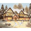 Malowanie po numerach - DOMEK NA ŚNIEGU Z BAŁWANEM (D. RUSTY RUST)