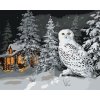 Malowanie po numerach - ŚNIEŻNA SOWA W LESIE I DOMEK ZIMĄ (D. RUSTY RUST)