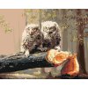 Malowanie po numerach - MAŁE SOWY NA ŚCIĘTYM DRZEWIE (D. RUSTY RUST)
