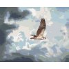Malowanie po numerach - ORZEŁ W CHMURACH (D. RUSTY RUST)