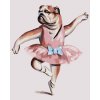 Malowanie po numerach - BULDOG ANGIELSKI I BALET (D. RUSTY RUST)