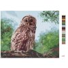 Malowanie po numerach - SOWA I LAS (D. RUSTY RUST)