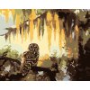 Malowanie po numerach - SOWA I DRZEWA (D. RUSTY RUST)